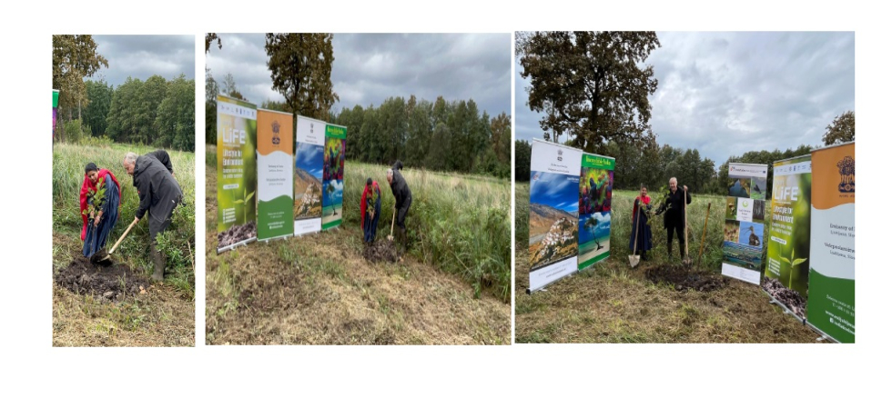 #'Ek Ped Maa Ke Naam’ campaign continuing with plantation of alder saplings by Ambassador of India Mrs. Namrata S. Kumar and Director of the Landscape Park, Ljubljana Marshes, Mr. Janez Kastelic at Rokova Jelsa on 17 September 2024